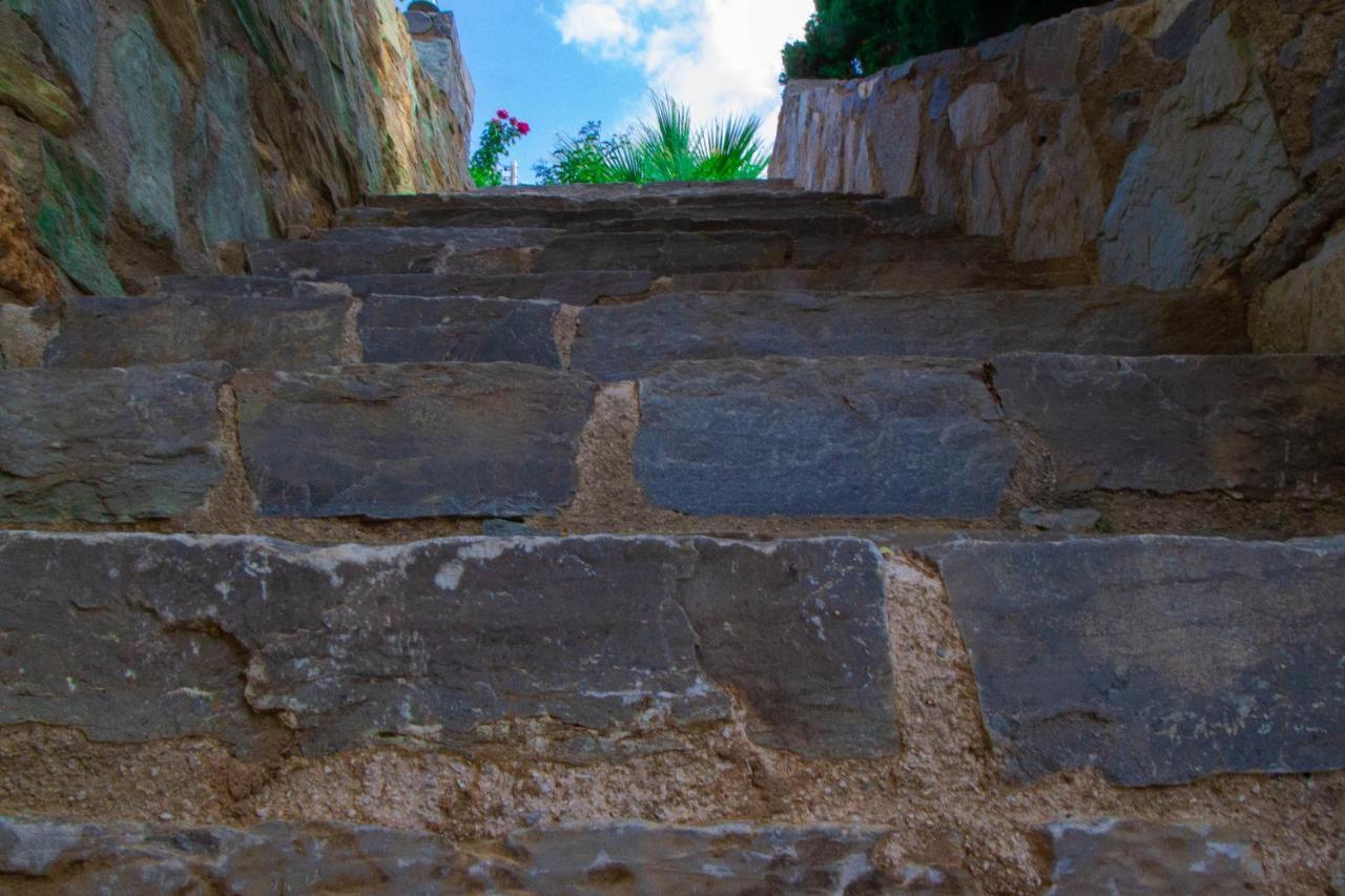 Olenia Residence Αγία Πελαγία  Εξωτερικό φωτογραφία