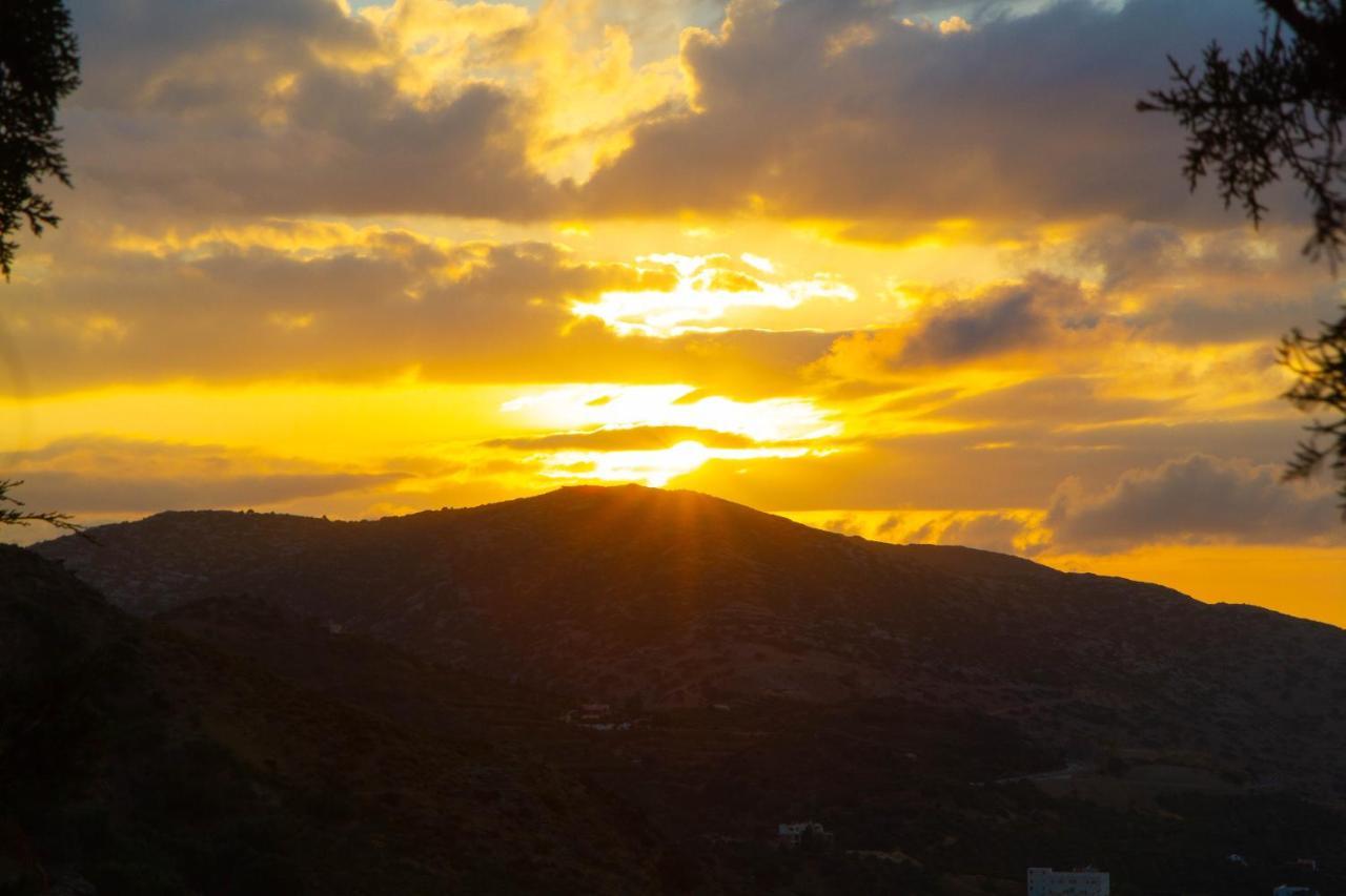 Olenia Residence Αγία Πελαγία  Εξωτερικό φωτογραφία